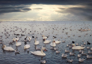 ХАДЖИБЕЙ / одесса