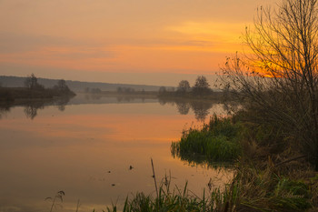 Унылая осень. / Озеро Сосновое на рассвете.