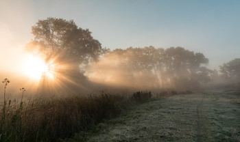 Сонячний ранок... / 19.09.2016.