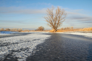 &nbsp; / мороз,лед,озеро,дерево