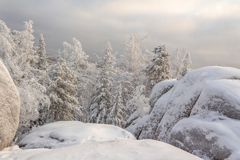 Зимняя тайга. / Национальный парк &quot;Красноярские Столбы&quot; зимой.