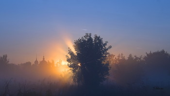 За околицей рассвет. / Летнее, туманное утро в поле у посёлка Белоомут, юго-восток Московской области.