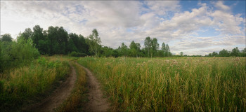 Лесными дорогами / Кемерово, Западная Сибирь