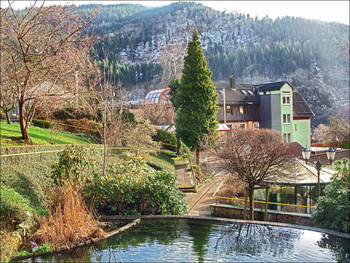Уголок провинциального городка в Германии / Город Вольфах, районный центр земли Баден-Вюртемберг.