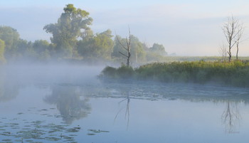 Тихое утро на озере Омут. / Летние туманы.