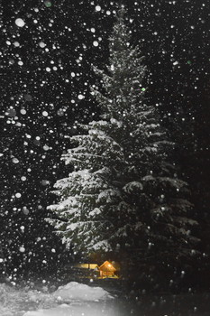 новогоднее / снег