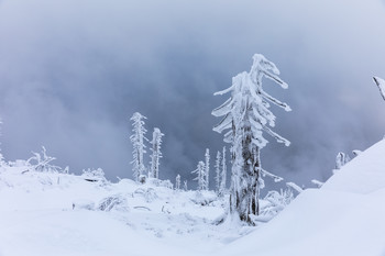 &nbsp; / Winterstimmung am Plöckenstein