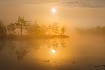 Жаркий рассвет августа / Густой туман полный солнца и тепла. 
Озеро на севере области. 
Из фотопроекта «Магия Ленинградской области».