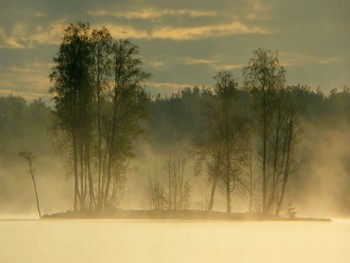 В тумане утреннем......... / Петербург. Осиновая Роща. Май