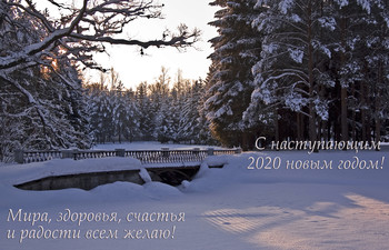 С наступающим новым годом! / 2020