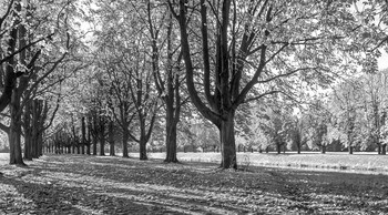 &nbsp; / По солнечной аллее