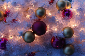 С Новым годом! / С Новым годом!
Пусть 2020-й будет добрым и счастливым годом! 
Всем фотонаходок и фотоудач!