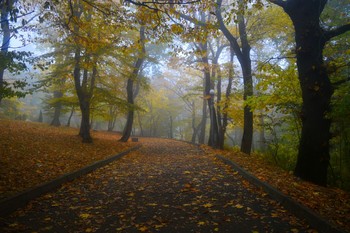 В парке осеннем тихо падали листья......... / Железноводск. Октябрь