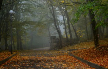 В старом парке туман...... / Железноводск. Октябрь