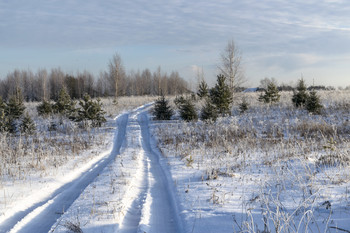 Проселочной дорогой / Долгожданный снег прикрыл землю. Природа преобразилась , посвежела...