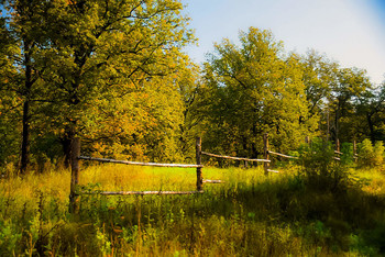 На исходе лета / ...