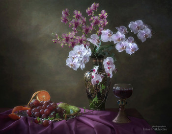 Время цветения орхидей / классический натюрморт