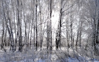 С Рождеством / С Рождеством Христовым!