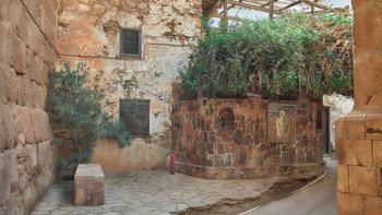 Неопалимая купина с огнетушителем...(хм...странновато однако...) / ...