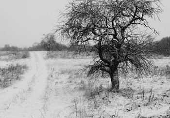 У просёлка. / Запоздалая зима .