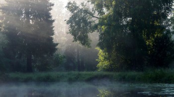 Утро на пруду.......... / Петербург. Шуваловский парк. Июль