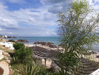 Свежо и остро пахли морем... / Свежо и остро пахли морем...