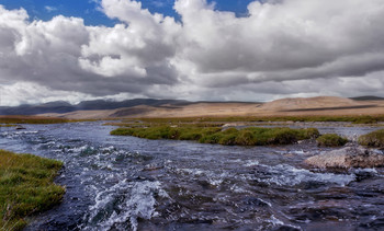 &nbsp; / Степь.