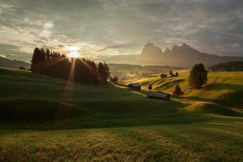 &nbsp; / The Alpe di Siusi is a Dolomite plateau located in Italy, in South Tyrol, within the territory of the municipality of Castelrotto.
From the alp you can enjoy a 360° panoramic view; from the north in a clockwise direction: the Sass de Putia (2,873 m), the Gruppo delle Odle e del Puez (3,025 m), the Gran Cir, the Gruppo del Sella (3,152 m), the Sassolungo (3.181 m) and Sassopiatto (2,995 m), the Marmolada (3,343 m), the San Martino shovels, the Vajolet towers, the Catinaccio group (2,981 m), with the summit of the Catinaccio d'Antermoia (3,002 m), and the Sciliar (2,450 m).