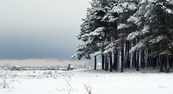 Зимний пейзаж. / Пасмурное зимнее утро. Вдалеке посёлок Белоомут, и сосновый лес у Оки.