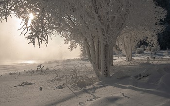 У морозного берега. / Изморозь на деревьях от мороза.