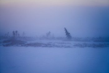 Plane of Focus / Ice fog, rolling terrain and blue hour come together in a small strip of clarity