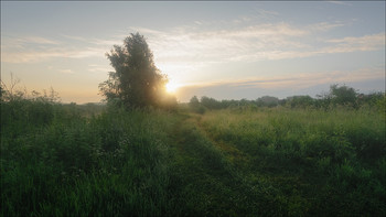 В утреннем свете / Кемерово, Западная Сибирь