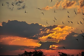 Рассвета чудные мгновения... / Необыкновенны рассветы и закаты. Конечно, лучше на открытой местности. Но иногда и в черте города можно увидеть интересное.