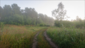 В тумане / Кемерово, Западная Сибирь