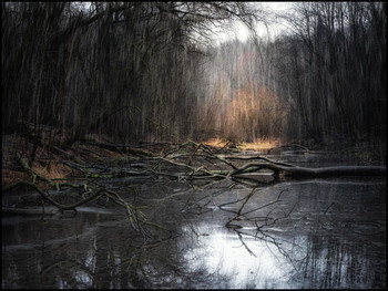 A deep, rainy forest with fallen trees and a pond. / Dark mystery, rainy forest with fallen trees.