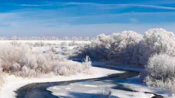 Зимняя сказка. / Одно из красивейших явлений природы, превращающее обычный пейзаж за окном в настоящую зимнюю сказку, называется инеем.