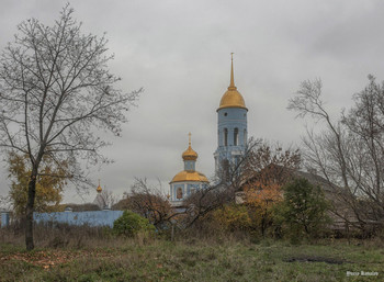 Владимирская церковь / город Мытищи