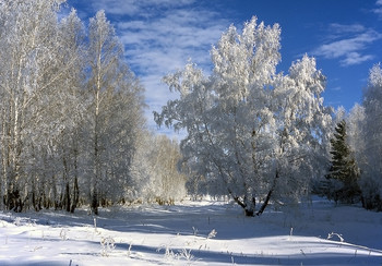 Зимняя сказка / Зима , Сибирь , Красота .