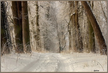 Зимняя сказка / ........