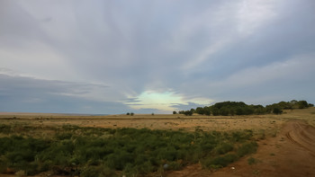 Степь Калмыкии / ***