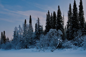 Зимний день. / Томская область.