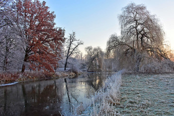 The River of bizarre winter trees / Ich liebe den Morgen und die winterliche Stille, dieses Foto entstand bei einer Foto Tour am Fluss &quot;Aller&quot;