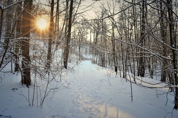 снег и солнце / зима