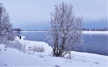 Вечерний зимний пейзаж / снег,река,вечер