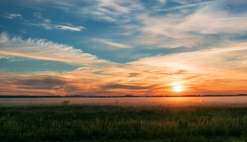 Ранок у полі... / 07.09.2016