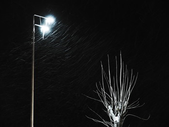 Winterabehd / 2018-01-09-24-C0-024