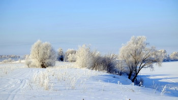 Украшение зимы. / Зимний пейзаж у Оки.
