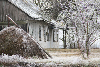 Морозный день на старом хуторе / Волынская область, околицы города Луцк.