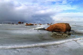 Весна Март / Лебеди