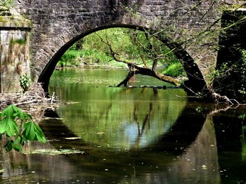 &nbsp; / ein kleiner Fluss, eine alte Brücke und ein alter Baum
die Nethe, ein Nebenfluss der Weser